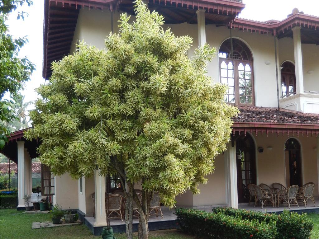 Villa Ranmenika Ahungalla Esterno foto